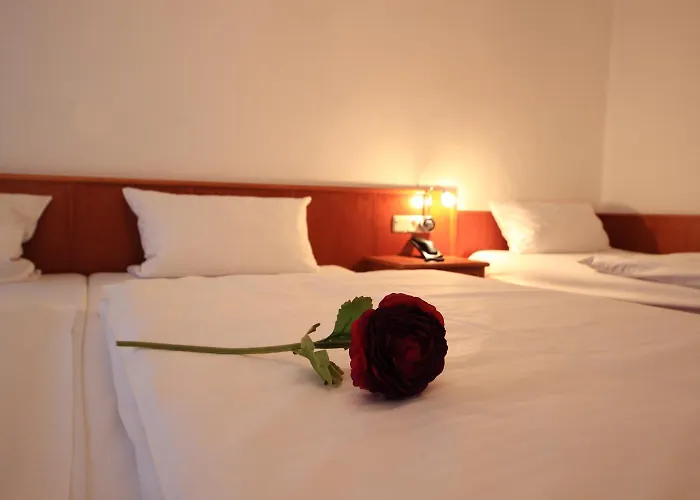Hotel Altstadthotel