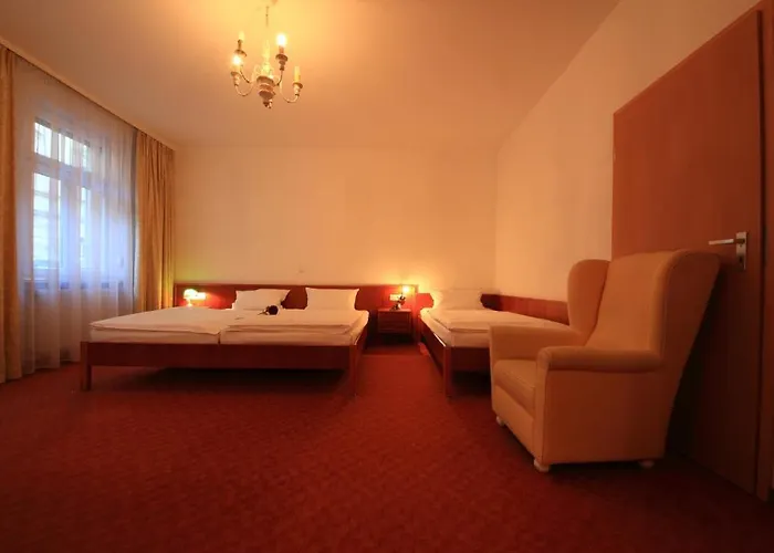 Altstadthotel Hotel 3*