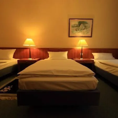 Отель Altstadthotel 3*