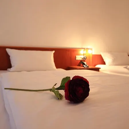 Отель Altstadthotel