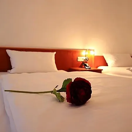 Altstadthotel 3*