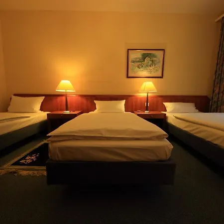 Отель Altstadthotel